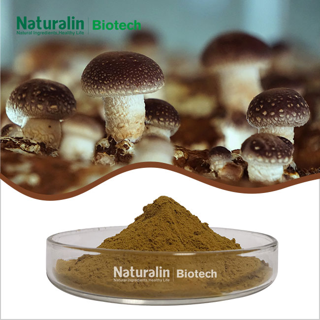Shiitake Mushroom Extract Powder Shiitake Mushroom Extract Powder